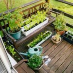 Grow a Thriving Herb Garden on Your Apartment Balcony