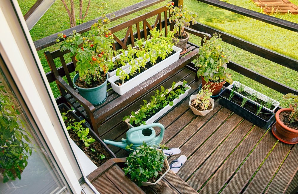 Grow a Thriving Herb Garden on Your Apartment Balcony